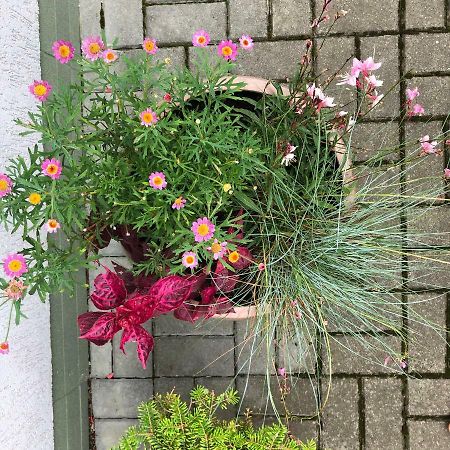 Juros Brizas Apartman Palanga Kültér fotó
